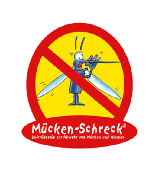 Duft-Geranien 'Mückenschreck®'