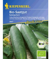 BIO-Gurke, Salatgurke