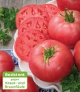 Veredelte Fleischtomate 'Rose Crush' F1