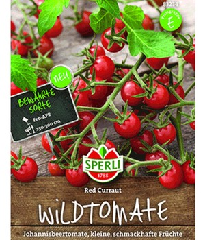 Johannisbeertomaten 'Red Curraut'