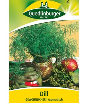 Dill, einfach