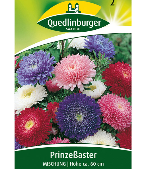 Riesen-Prinzess-Astern-Mix