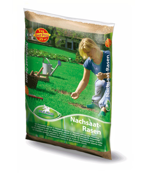 Pegasus Nachsaatmischung 1 kg