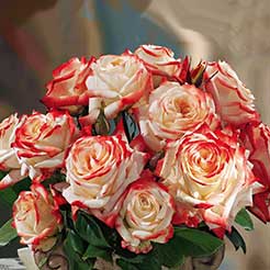 Rosen nach Wuchsform