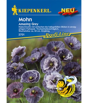 Mohn 'Amazing Grey'