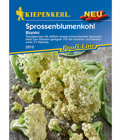 Sprossenblumenkohl 'Blumini'