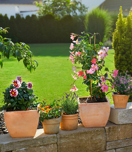 GARDENA® MicroDripSystem StartSet Pflanztöpfe S