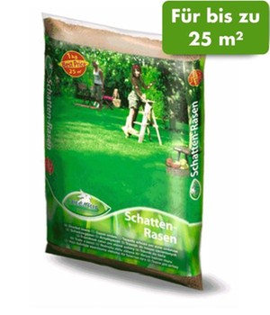 Rasenmischung Pegasus Schattenrasen