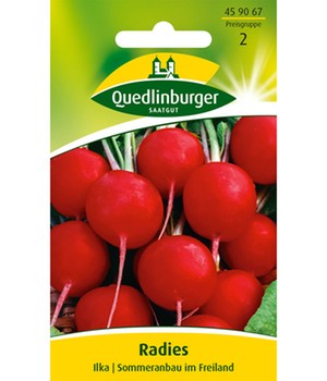 Radies Ilka