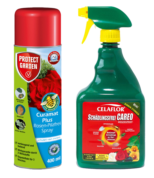 Schädlingsfrei Careo Rosenspray & Baymat Plus AF Pilzfrei