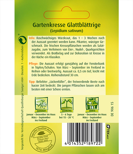 Gartenkresse, glattblättrige