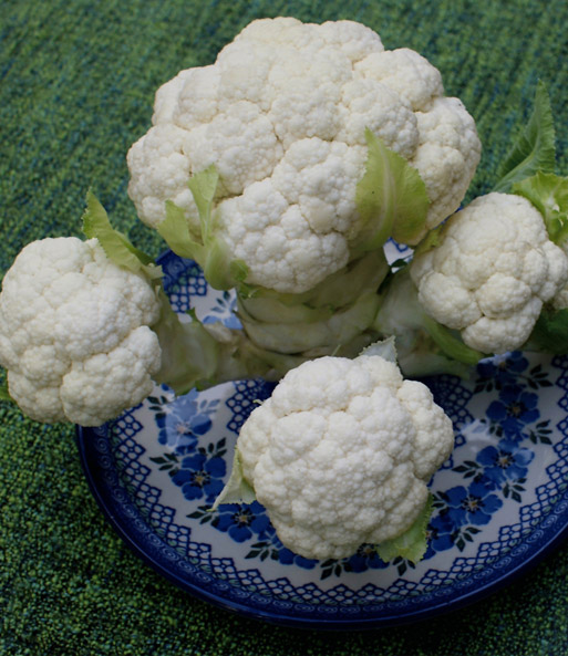 Multi-Pflück-Blumenkohl