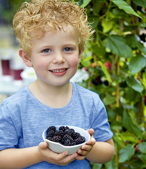 Ein kleiner Junge steht im Garten und hält eine Schale Früchte der Maulbeere „BonBon Berry“ und lächelt.