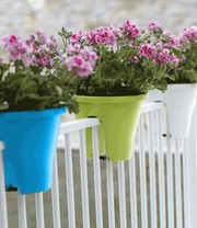 Corsica Flower Bridge® limegrün, 30 cm ø