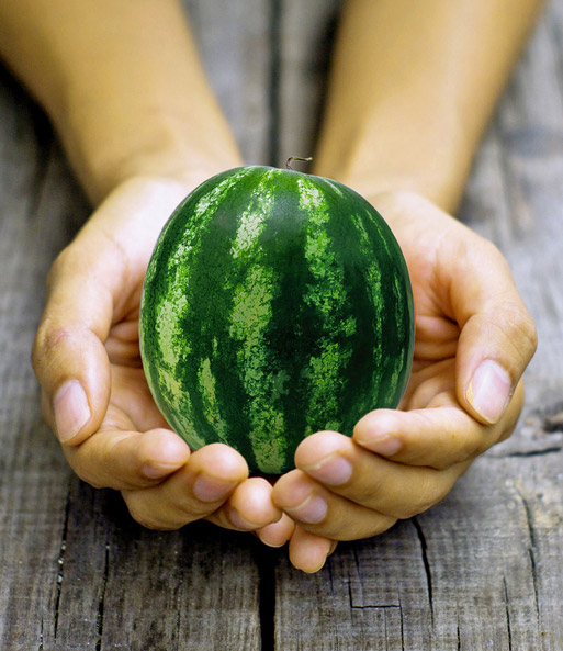 Veredelte Mini-Wassermelone 'Mini Love' F1