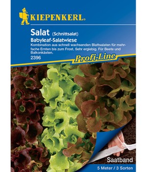 Schnittsalat 'Salatwiese' Saatband
