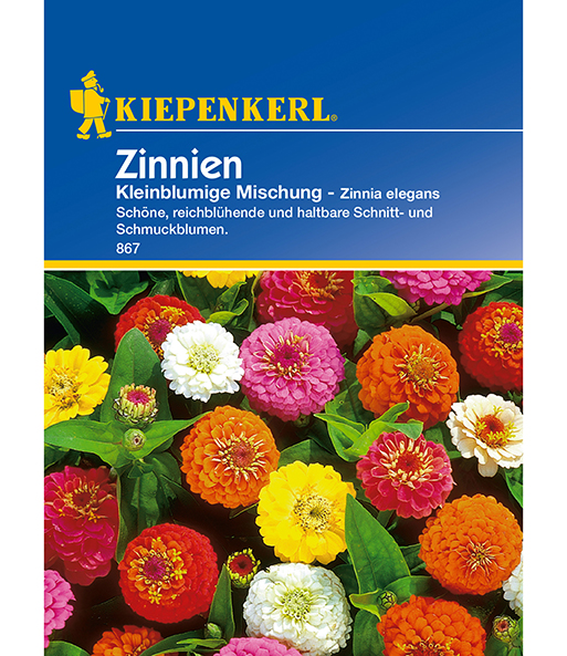 Zinnie 'Kleinblumige Mischung'