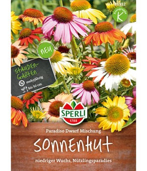 Sonnenhut 'Paradiso Dwarf'