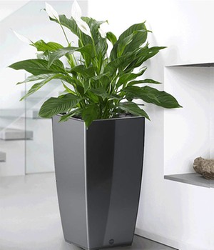 EMSA® CASA BRILLIANT Säule 57 cm hoch 'grau'