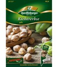 Kichererbse gelb