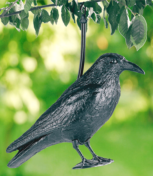 Vogelschreck Rabe