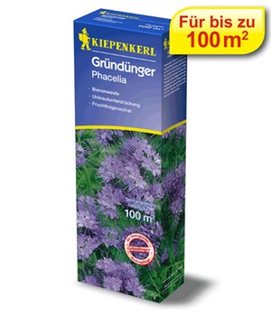 KIEPENKERL Gründünger Phacelia