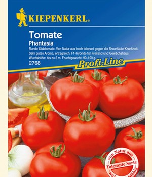 Tomaten 'Phantasia' F1
