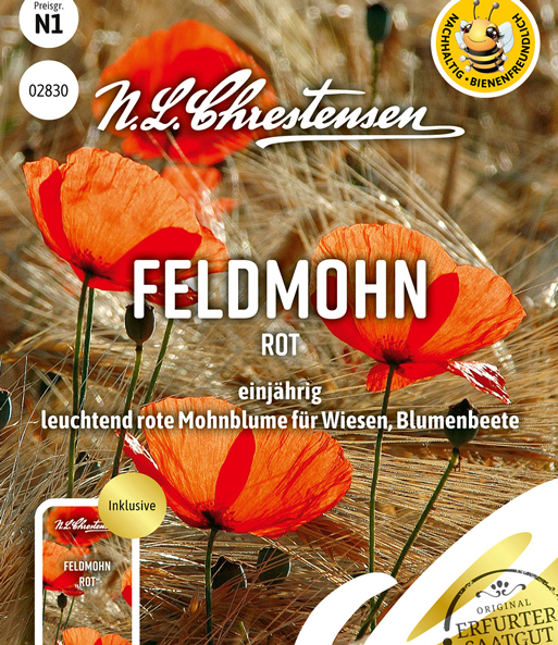 Roter Feldmohn