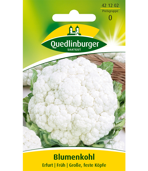 Blumenkohl 'Erfurter Zwerg'