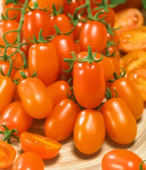 Datteltomate 'Nugget' F1