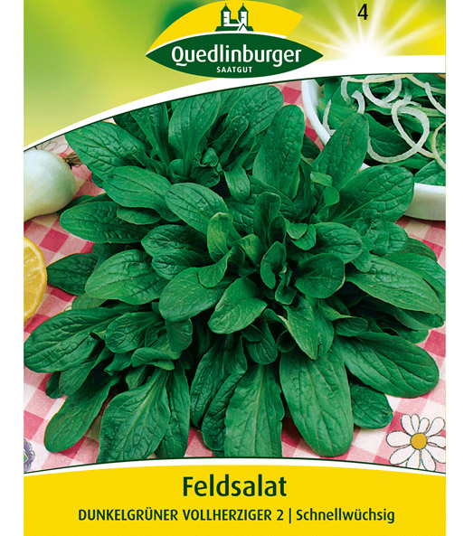 Feldsalat 'Dunkelgrüner vollherziger 2'