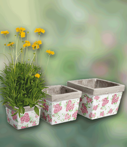 Blumentöpfe Rose 3er Set