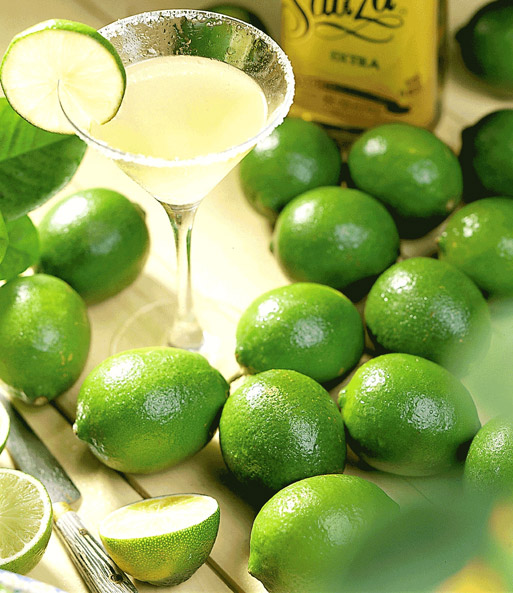 Zitruspflanze 'Limone'