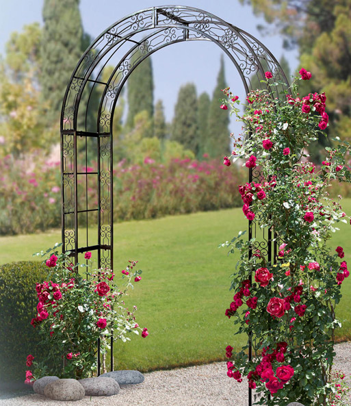 Rosenbogen Jamarie