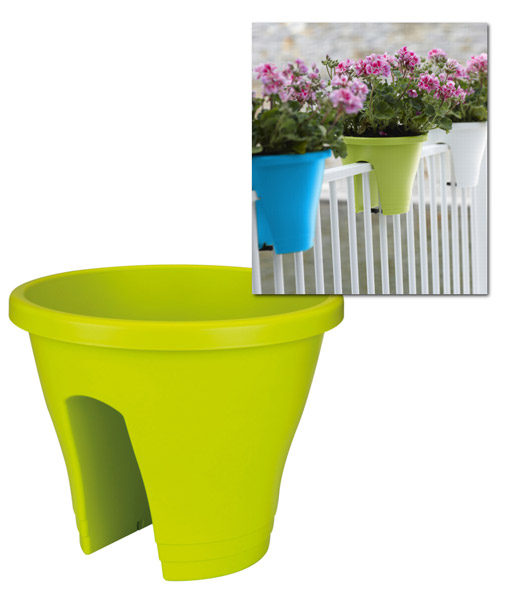 Corsica Flower Bridge® limegrün, 30 cm ø