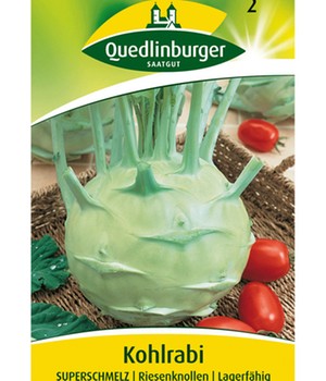 Kohlrabi 'Superschmelz'