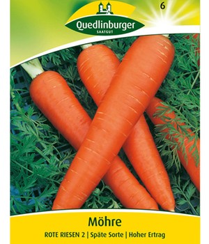 Wintermöhren 'Rote Riesen 2'