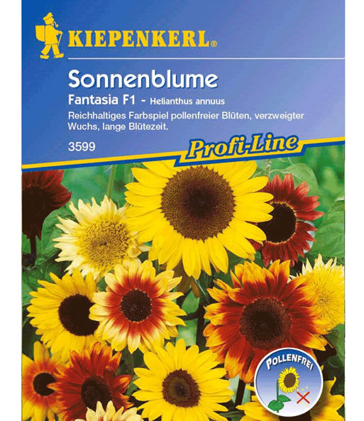 Sonnenblume 'Fantasia Mix'