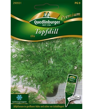 Topf-Dill 'Ella'