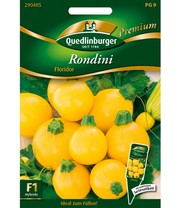 Zucchini 'Rondini Floridor'